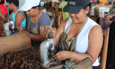 Rainforest Alliance Amazon Brazil Nuts