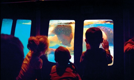 Primo at ArtPlay Melbourne Festival