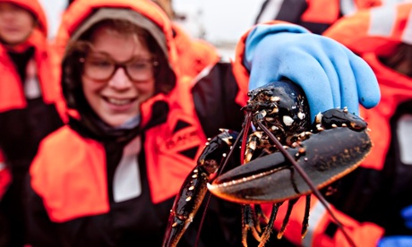 Try Sweden: girl holding live crayfish on seafood safari