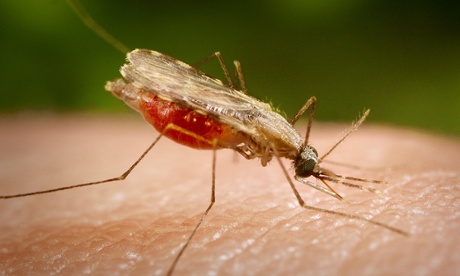 If we make the right health investments we could see a 'grand convergence' in global health within our lifetimes.