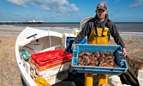 A crab fisherman on Cromer beach, Norfolk