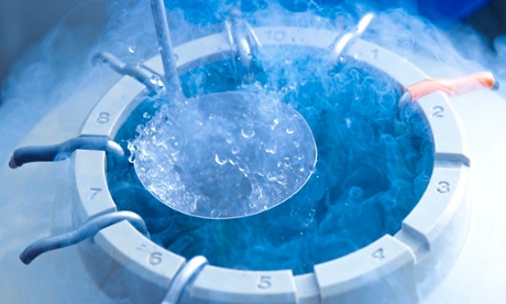 Egg storage for in vitro fertilisation (IVF)