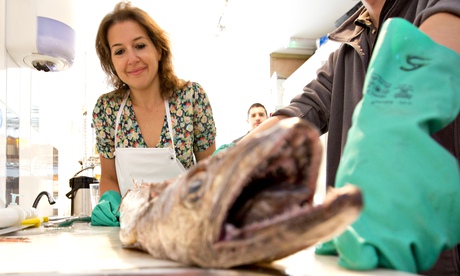 Hadley Freeman sizes up a hake with fishmonger Scott Anderson. Photograph: Graham Turner for the Gua