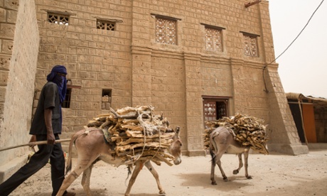 Donkeys transport wood along a Timbuktu street.