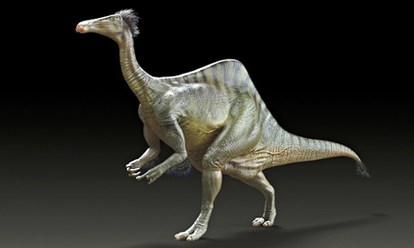 A reconstruction of the dinosaur Reconstruction of Deinocheirus mirificus
Credit: 