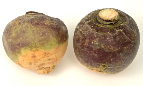 Root vegetable produce typical supermarket bought swedes