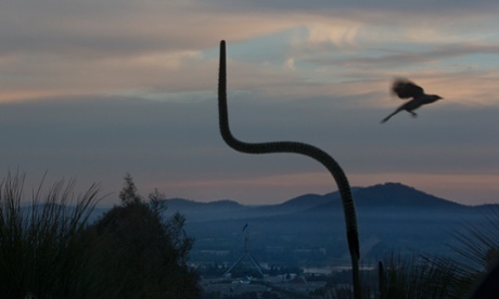 Parliament, this morning, Thursday 23rd October 2014.