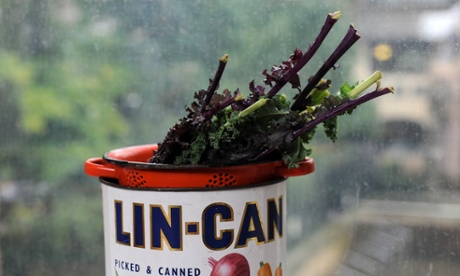 If anything, kale should be a working-class hero. Once grown chiefly as cow fodder, it has pulled itself up by the bootstraps to become a super-fashionable superfood.