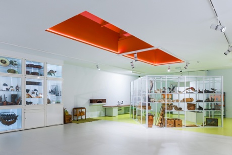 Gallery 6, Powell-Cotton Museum