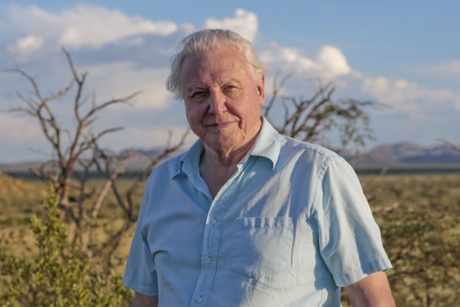 Attenborough
