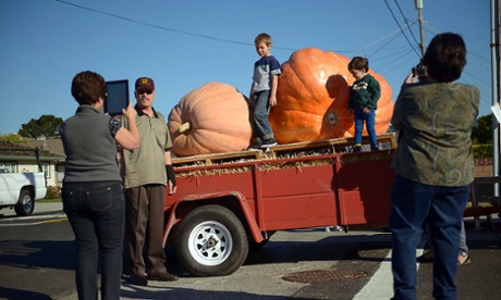 Giant pumpkins, California