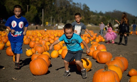 Boys run through a  pumpkin patch in Half Moon Bay.