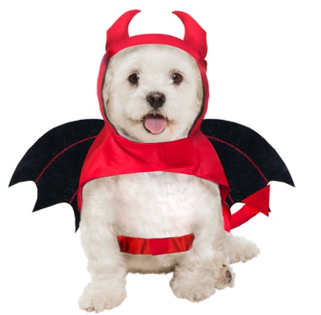 Dog devil costume