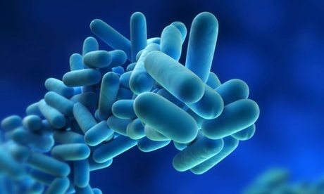 legionella