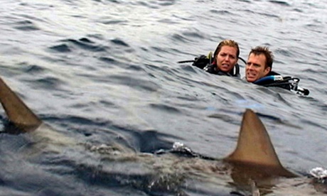 Blanchard Ryan and Daniel Travis in Open Water