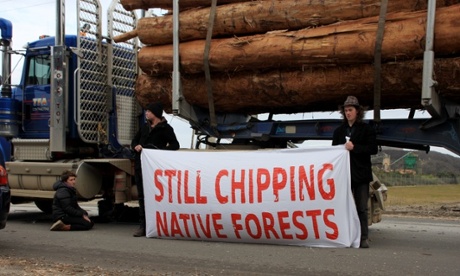 Tasmania logging protest