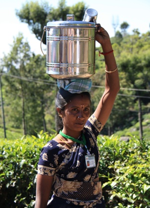 Time for a tea break in the gardens