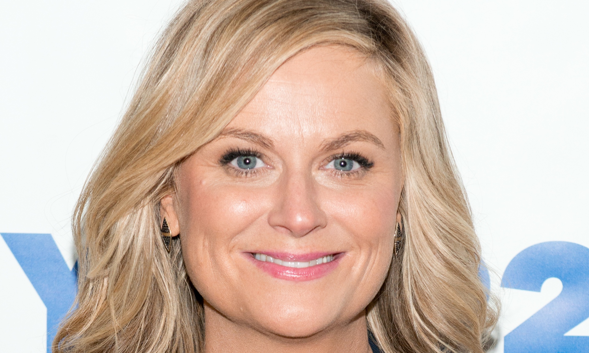 Amy Poehler's Reddit Ama: Life Advice, Pickup Lines And 10 Things We 