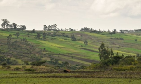 Regreening Ethiopia