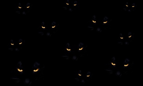 Boo! Share your spookiest stories for Halloween.