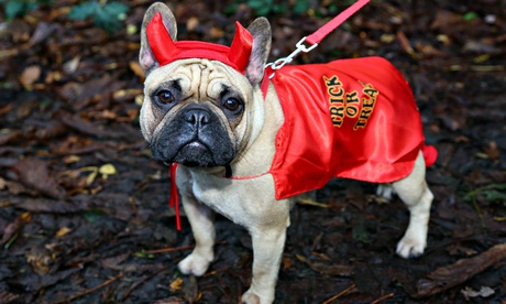 All Dogs Matter Halloween Fancy Dress Dog Walk, Hampstead Heath, London, Britain - 27 Oct 2013