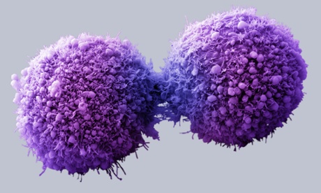 Google’s new pill could detect the presence of cancer cells in the body before they become a problem.