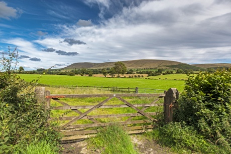 Pendle Hill in the Forest of Bowland.