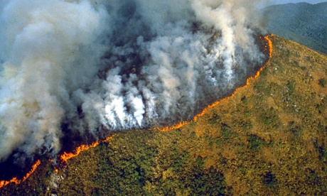 Amazon deforestation