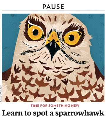 New Big Issue feature: Pause