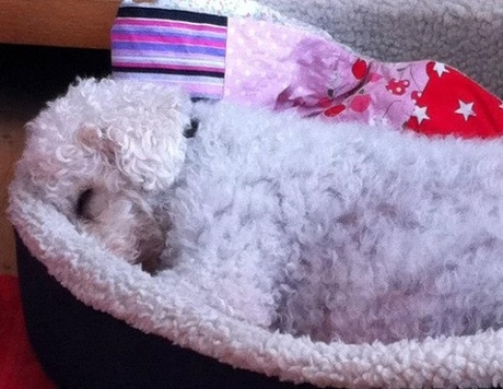 Where does Heidi start and the basket end?