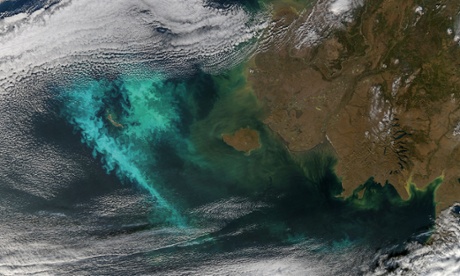 The Turbulent Bering Sea
