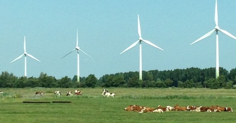 Wind turbines line the motorways nearby Hamburg, underlining the city’s commitment to renewables.