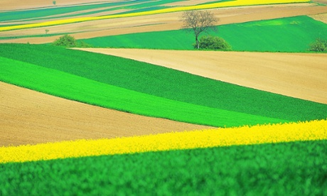 European countries look like they will be able to enact national bans on the growing of GM crops