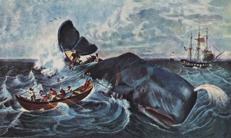 whaling sperm whale 1835 engraving hill hulsart