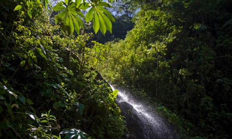 Peru southern Amazon region of Madre de Dios