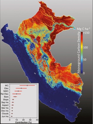 Amazon forest in Peru