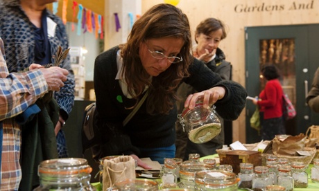 The Great Seed Festival