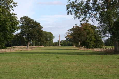 Avenue of Trees at Cirencester park.