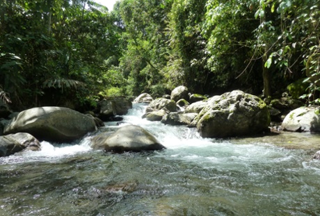 Lupa Masa River, Lupa Masa, Malaysia