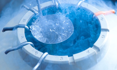 Tubes of eggs in cryogenic storage.