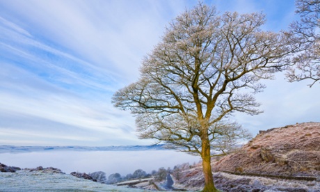 Mist, trees and hill at Baslow Edge in Derbyshire's Peak District National Park