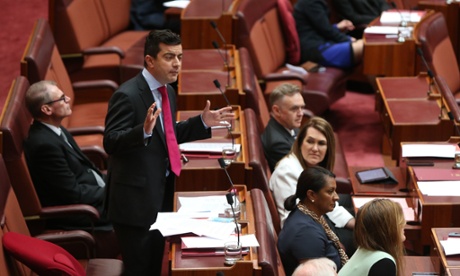 Senator Sam Dastyari in the senate chamber this afternoon in Parliament House, Canberra, Wednesday 19th November 2014