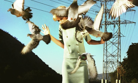 Alex Prager Birds 
