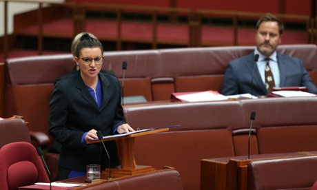Senator Jacqui Lambie in the senate chamber this afternoon in Parliament House, Canberra, Wednesday 19th November 2014