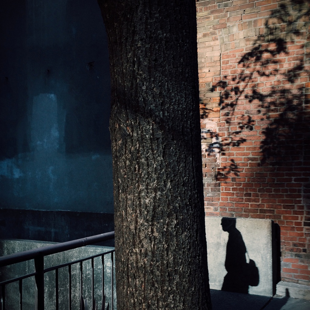 Out of the Phone. The dividing line, Toronto, Canada