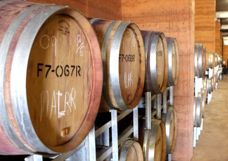 In the cellars at McHenry Hohnen