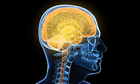 Artist's impression of a human brain