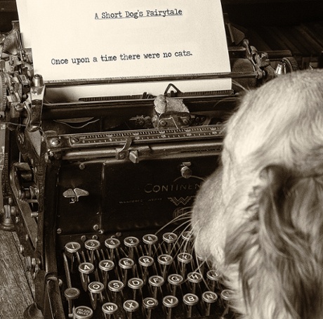 Dog with typewriter