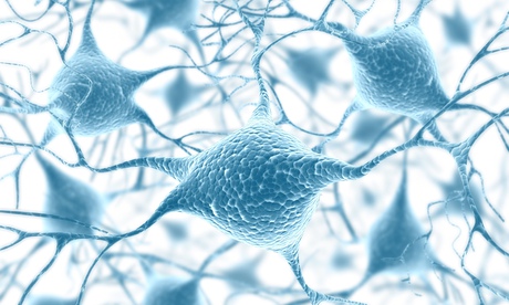 An artist's impression of a network of neurons in the human brain