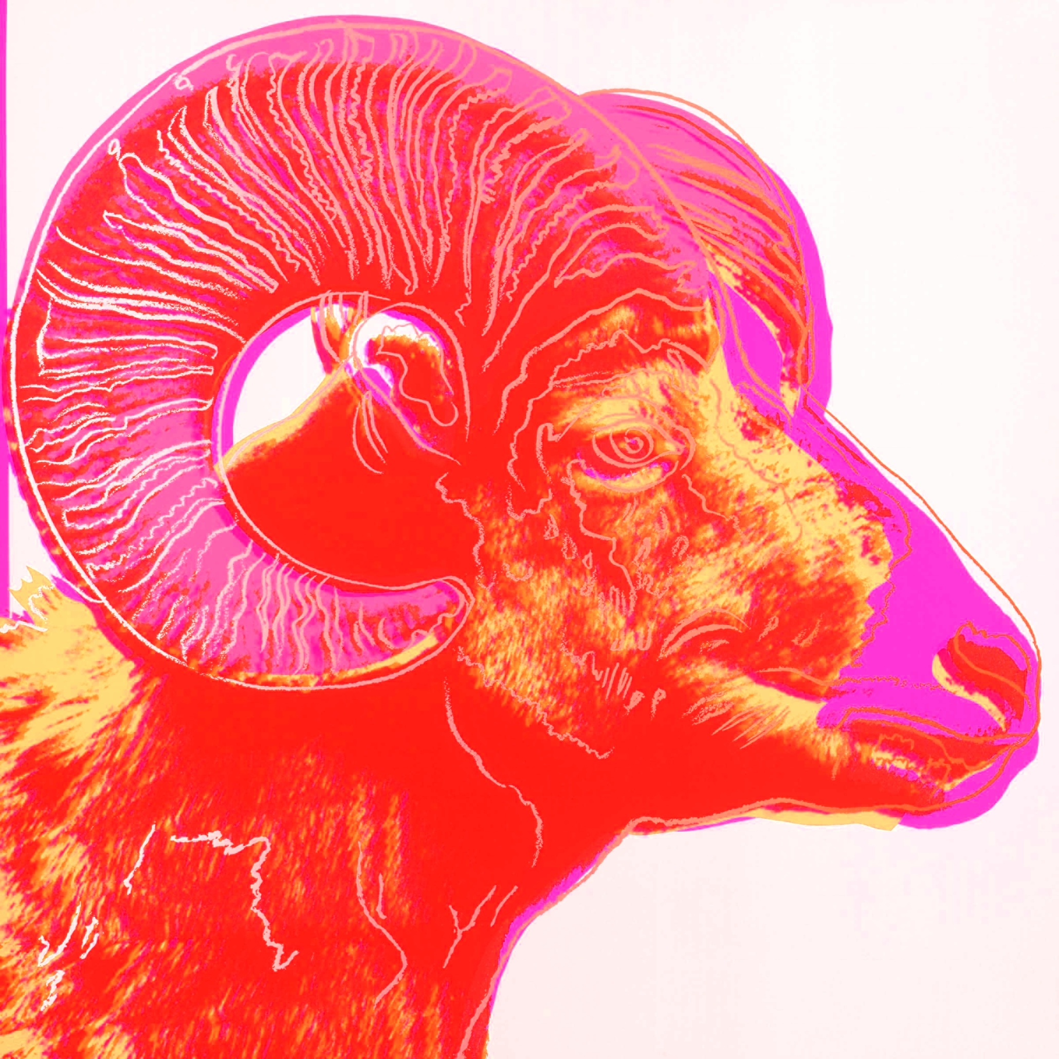 Andy Warhol's psychedelic endangered animals – in pictures | Art and